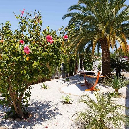 Casa Felizia Otel Els Poblets Dış mekan fotoğraf